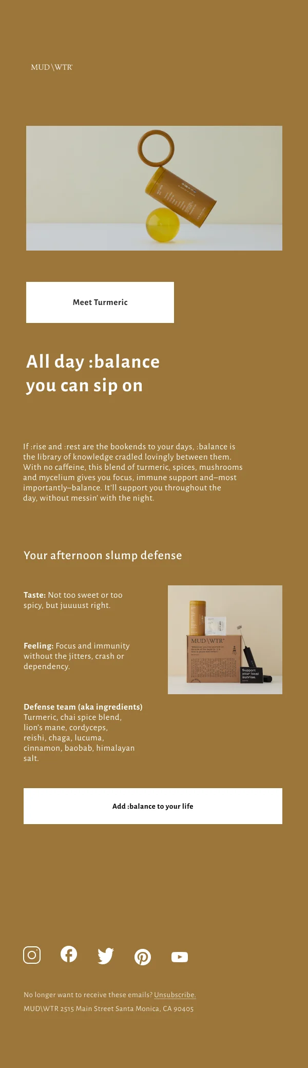 Turmeric Balance Blend — Product Promotions & Updates email design preview